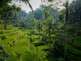 Bali